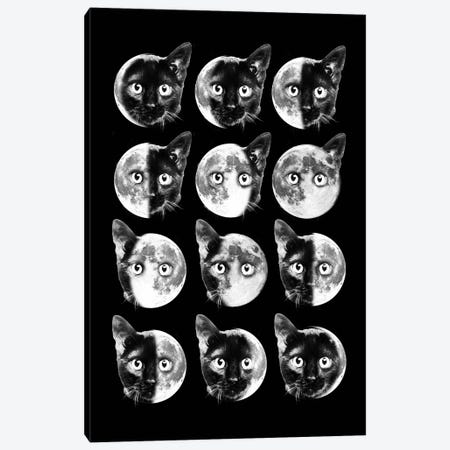 Cat Moon Phases Canvas Print #DHT95} by Dikhotomy Canvas Art