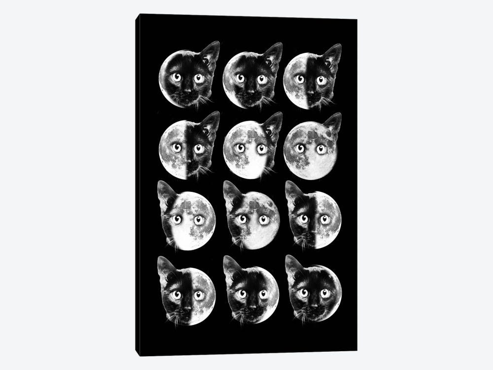 Cat Moon Phases by Dikhotomy 1-piece Canvas Artwork