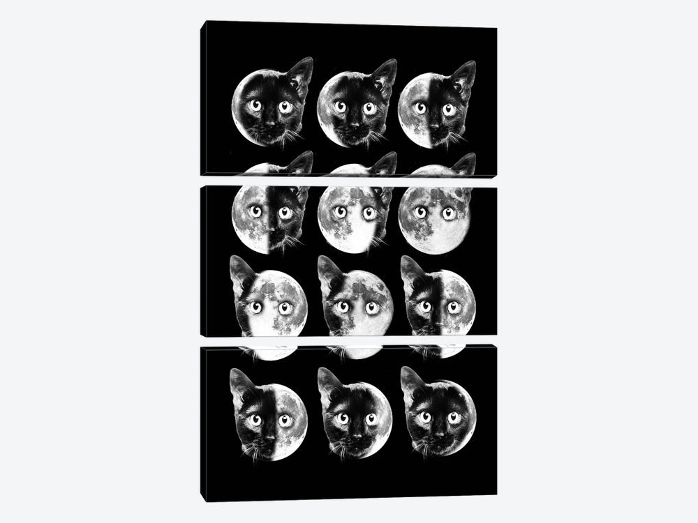 Cat Moon Phases by Dikhotomy 3-piece Canvas Wall Art