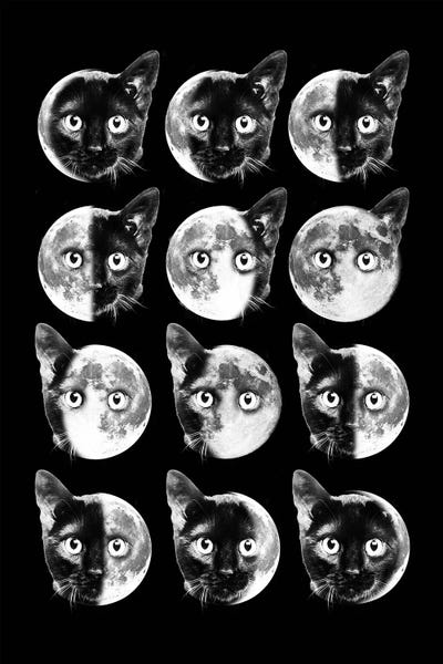 Limited Editions: Cat Moon Phases by Dikhotomy