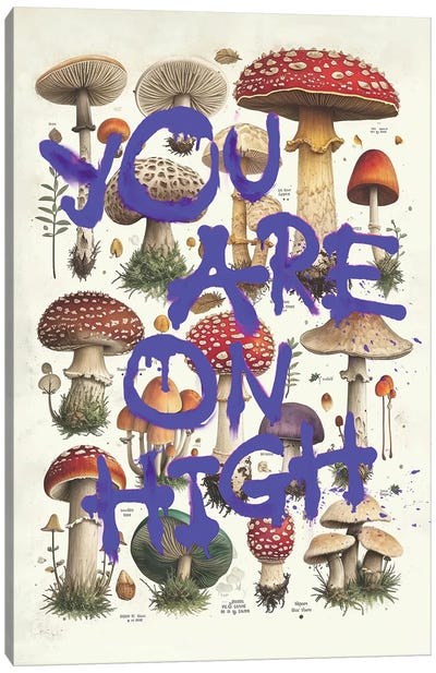 You Are On High Canvas Art Print - Mushroom Art