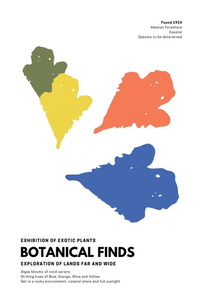 Botanical Finds Gallery Poster Alaska by Page Turner art print