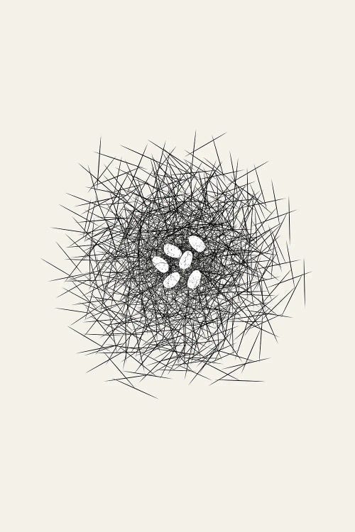 Nest Series - White Speckled Abstract Eggs by Page Turner wall art