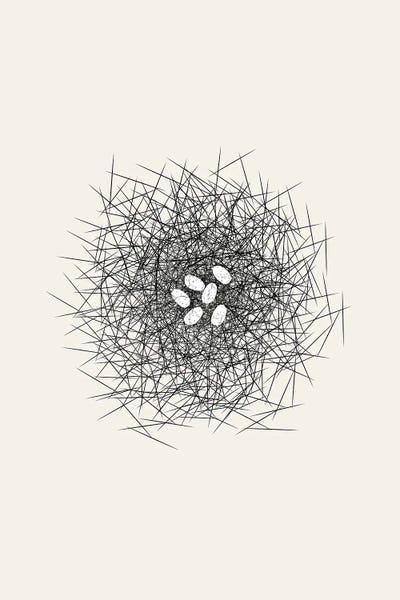 Nests: Nest Series - White Speckled Abstract Eggs by Page Turner
