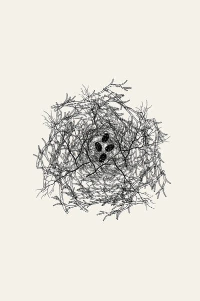 Nest Series - Black Speckled Abstract Eggs by Page Turner art print