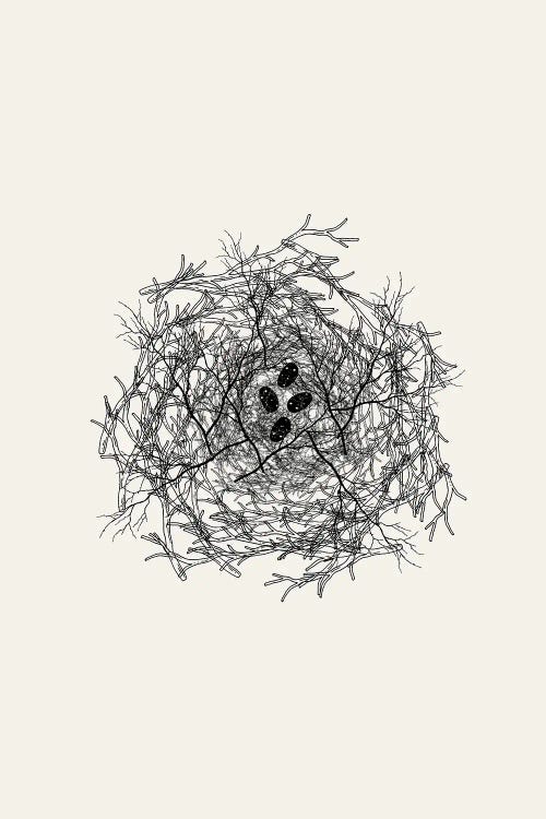 Nest Series - Black Speckled Abstract Eggs
