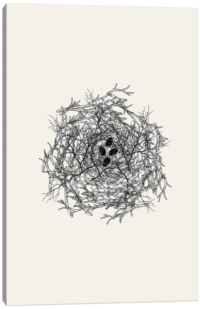 Nest Series - Black Speckled Abstract Eggs Canvas Art Print - Page Turner
