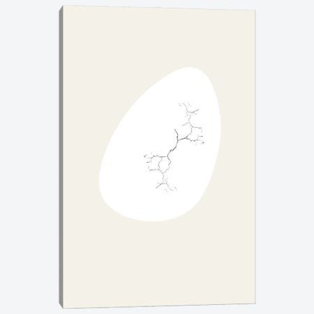 Nest Series - White Cracking Abstract Egg Shape Canvas Print #DHV194} by Page Turner Canvas Art