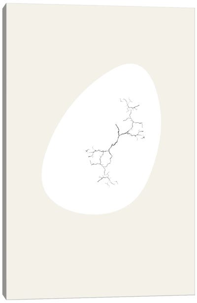 Nest Series - White Cracking Abstract Egg Shape Canvas Art Print - Page Turner