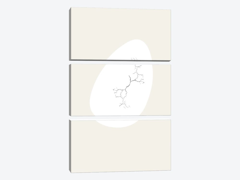 Nest Series - White Cracking Abstract Egg Shape by Page Turner 3-piece Canvas Print