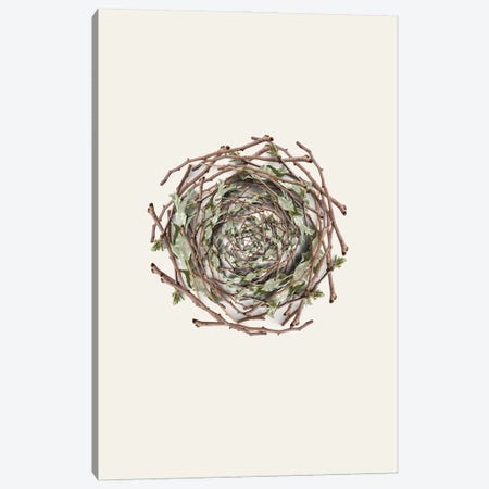 Nest Series - Natural Twigs Abstract Photography Canvas Print #DHV196} by Page Turner Canvas Artwork