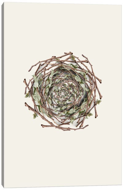 Nest Series - Natural Twigs Abstract Photography Canvas Art Print - Page Turner