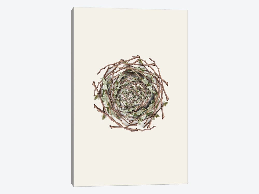 Nest Series - Natural Twigs Abstract Photography by Page Turner 1-piece Art Print