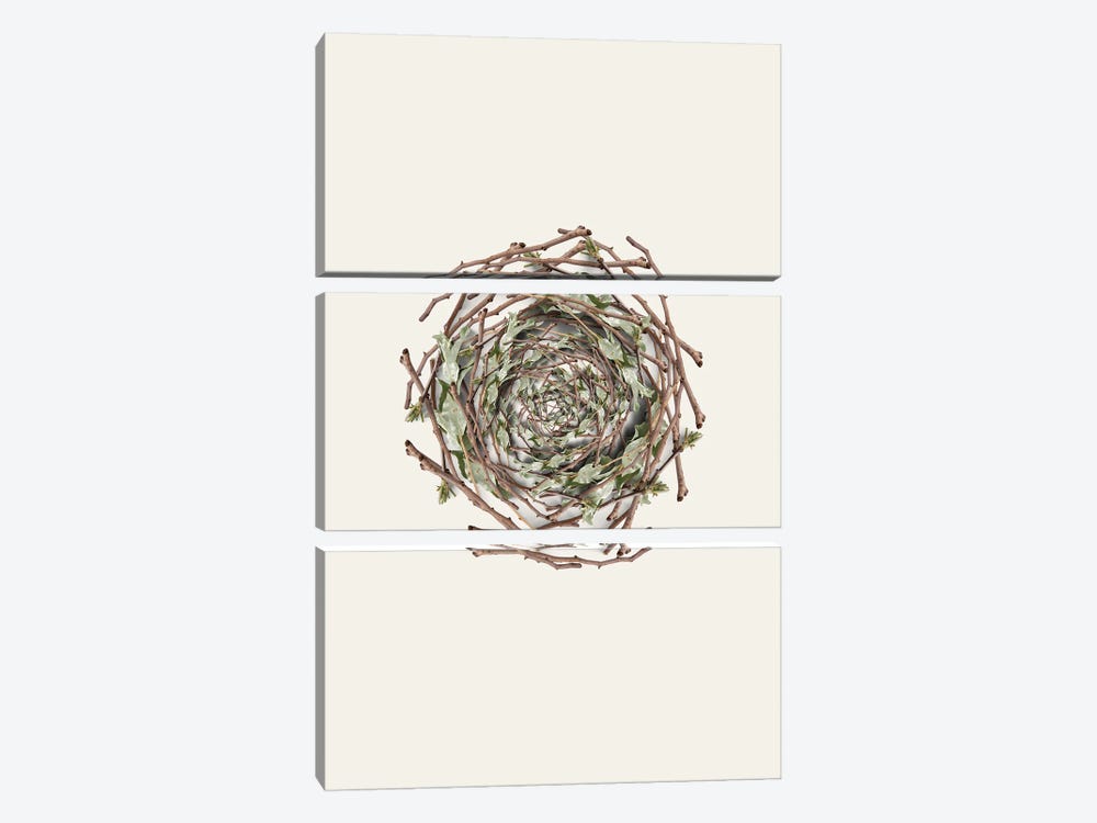 Nest Series - Natural Twigs Abstract Photography by Page Turner 3-piece Canvas Print