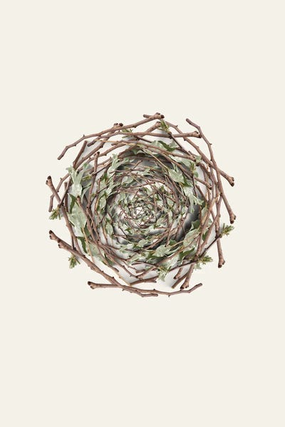Nest Series - Natural Twigs Abstract Photography