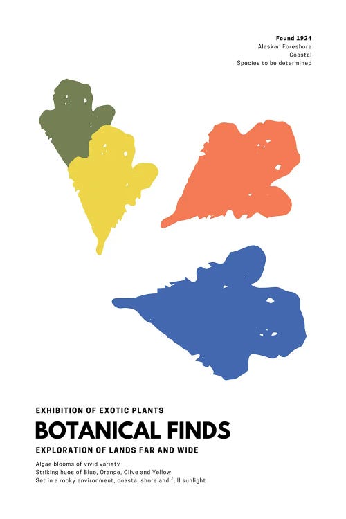 Botanical Finds Gallery Poster Alaska by Page Turner wall art