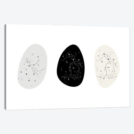 Nest Series - Speckled Eggs Canvas Print #DHV202} by Page Turner Canvas Print
