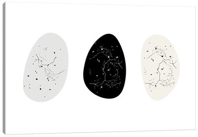 Nest Series - Speckled Eggs Canvas Art Print - Page Turner