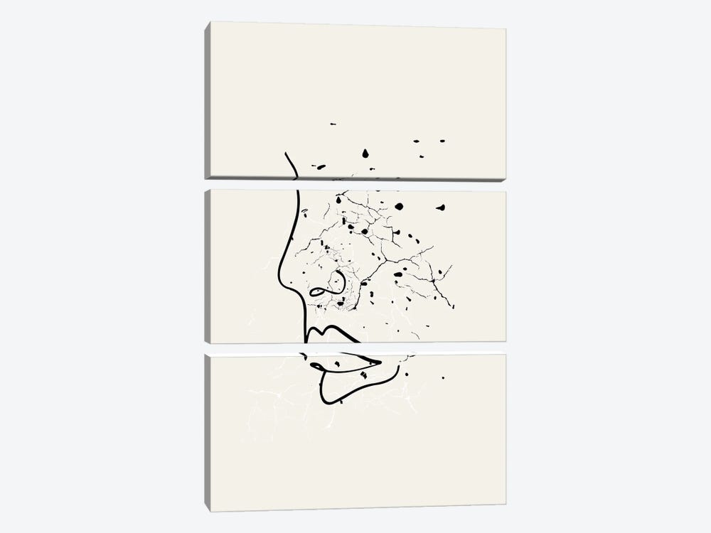 Speckled Series Face by Page Turner 3-piece Canvas Artwork