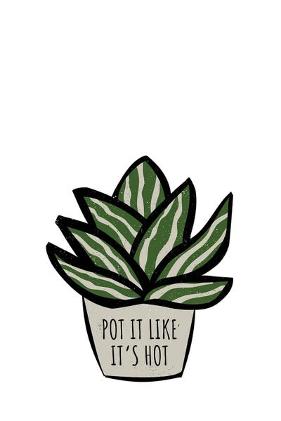 Gardening: Pot It Like It'S Hot Pot Plant by Page Turner