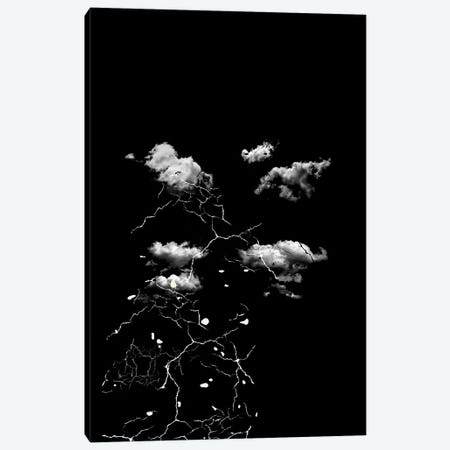 Storm Clouds Canvas Print #DHV210} by Design Harvest Canvas Wall Art