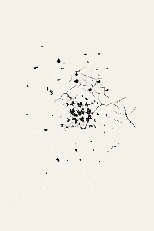 Butterflies Emerging by Page Turner wall art