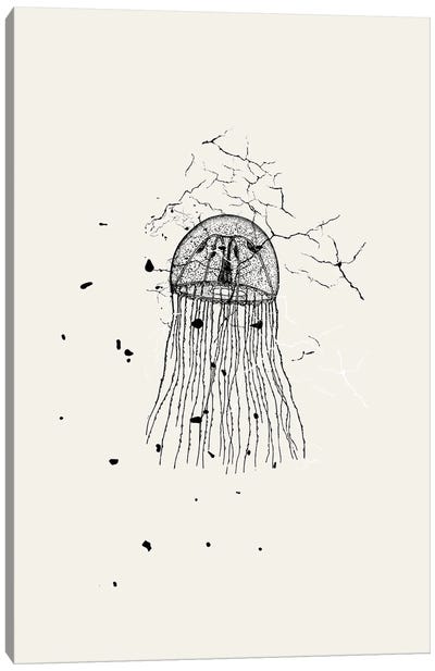 Marbled Jellyfish Canvas Art Print - Jellyfish Art
