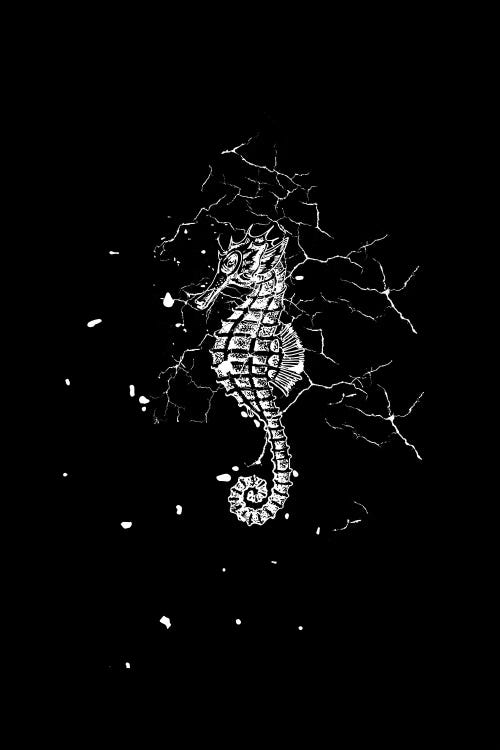 Marbled Seahorse by Page Turner wall art