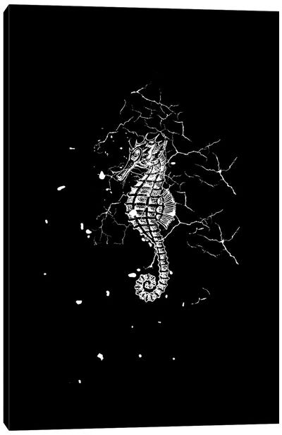 Marbled Seahorse Canvas Art Print - Page Turner