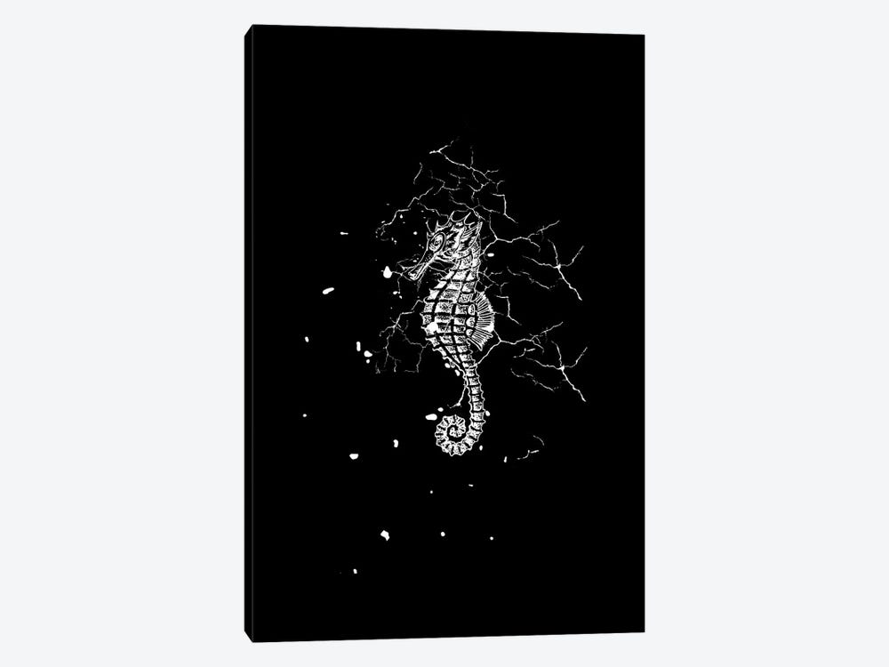 Marbled Seahorse by Page Turner 1-piece Canvas Wall Art