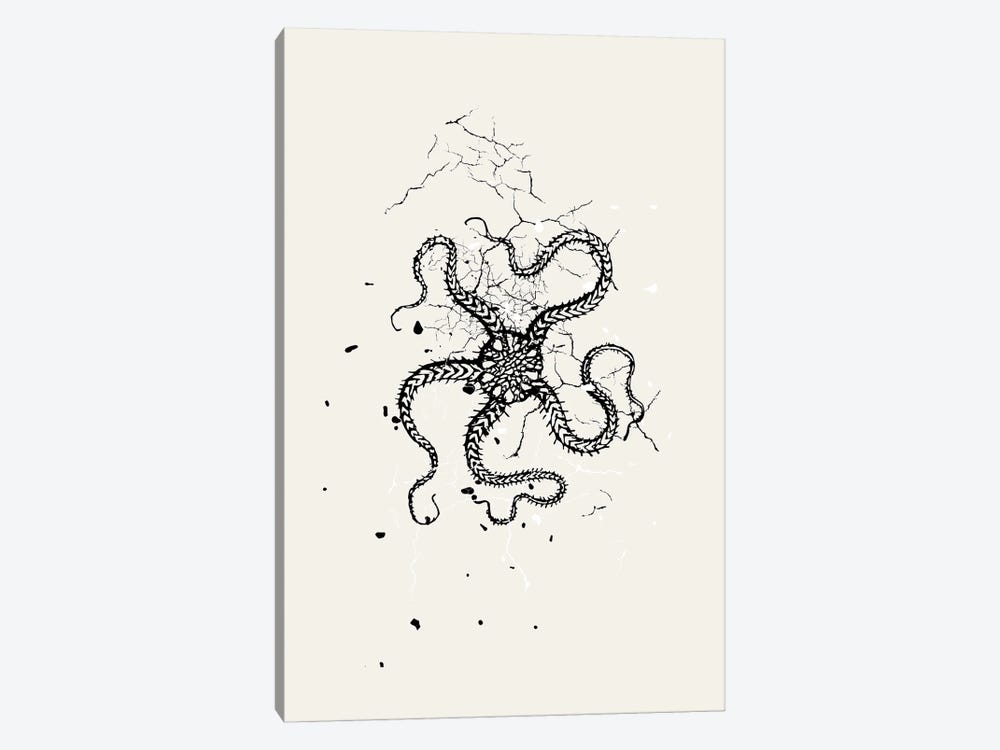 Squid Ink by Page Turner 1-piece Canvas Art Print