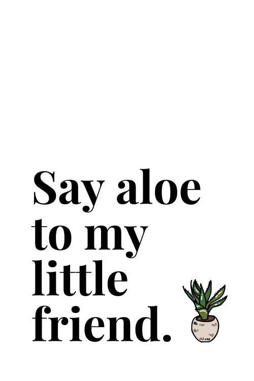 Say Aloe To My Little Friend Pot Plant