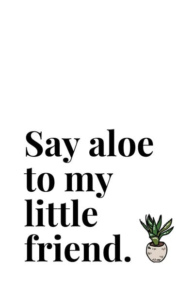Gardening: Say Aloe To My Little Friend Pot Plant by Page Turner
