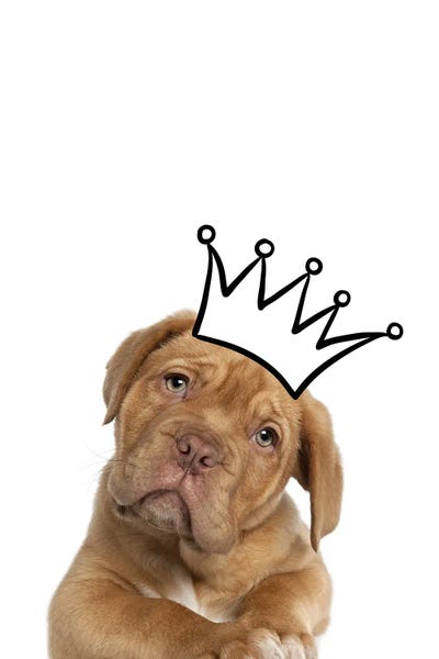 Crowns: Cute Puppy With Crown Mastiff Dog by Page Turner