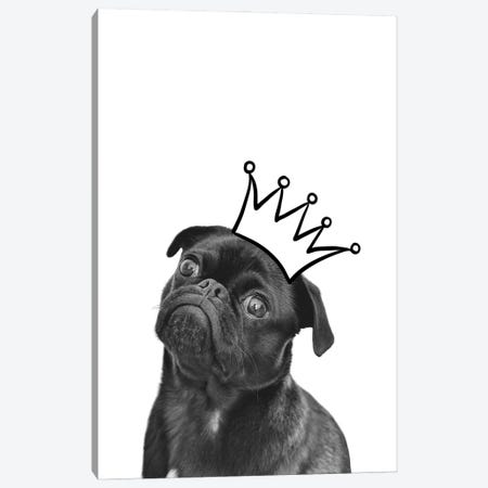 Cute Puppy With Crown Pug Dog Canvas Print #DHV25} by Design Harvest Art Print