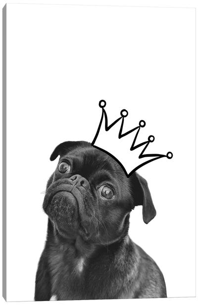 Cute Puppy With Crown Pug Dog Canvas Art Print - Page Turner