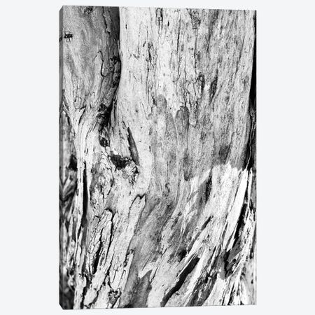 Abstract Photography Black And White Tree Bark Canvas Print #DHV261} by Design Harvest Canvas Art Print