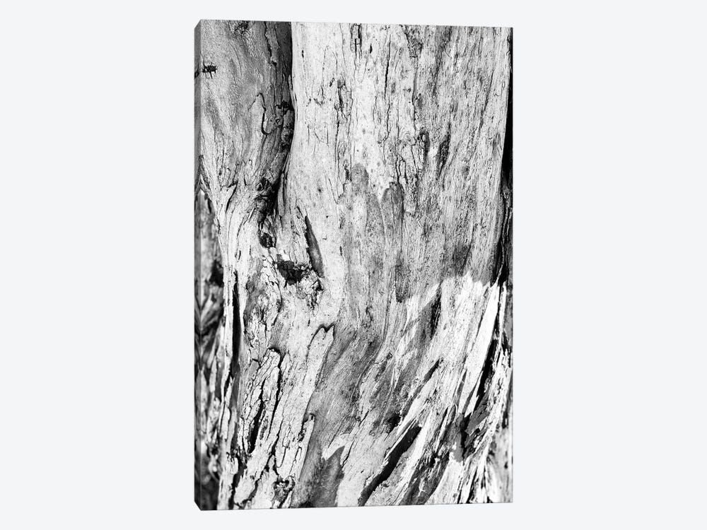 Abstract Photography Black And White Tree Bark by Page Turner 1-piece Canvas Print
