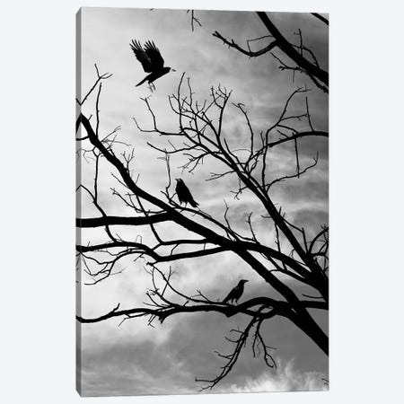 Moody Crows In A Tree On Abstract Black Branches Collage Canvas Print #DHV275} by Page Turner Art Print