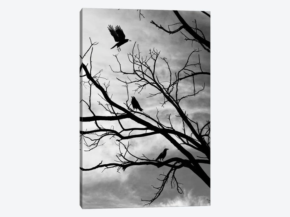 Moody Crows In A Tree On Abstract Black Branches Collage by Page Turner 1-piece Canvas Wall Art