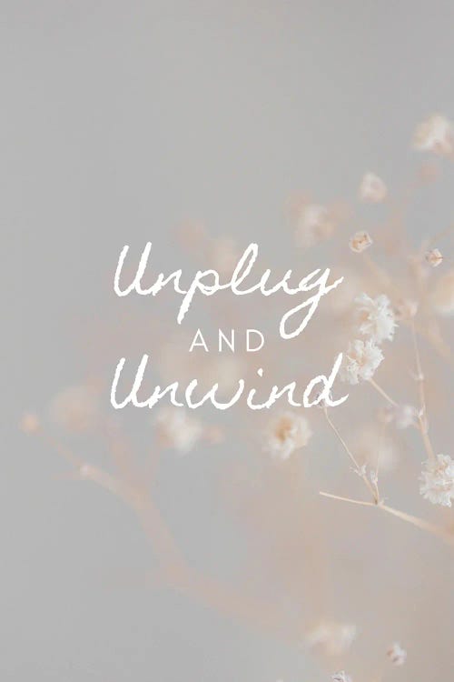 Unplug And Unwind by Page Turner wall art