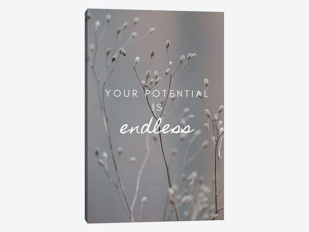 Your Potential Is Endless by Page Turner 1-piece Canvas Art