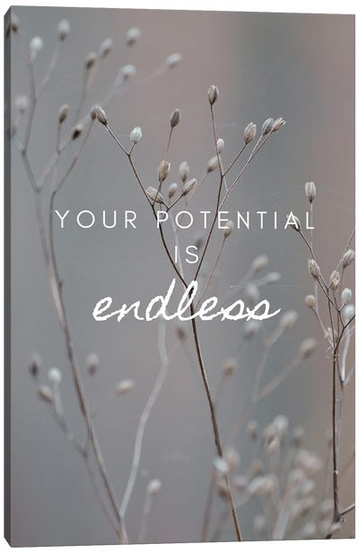 Your Potential Is Endless Canvas Art Print - Page Turner