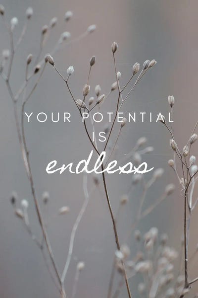 Your Potential Is Endless