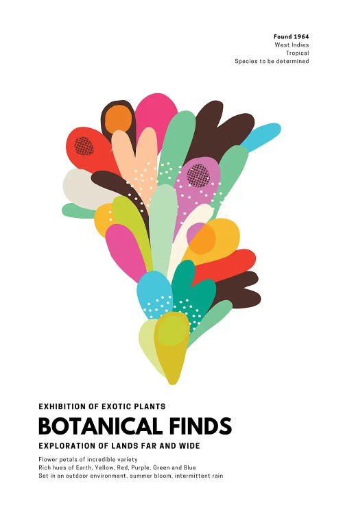 Botanical Finds Gallery Poster West Indies by Page Turner wall art