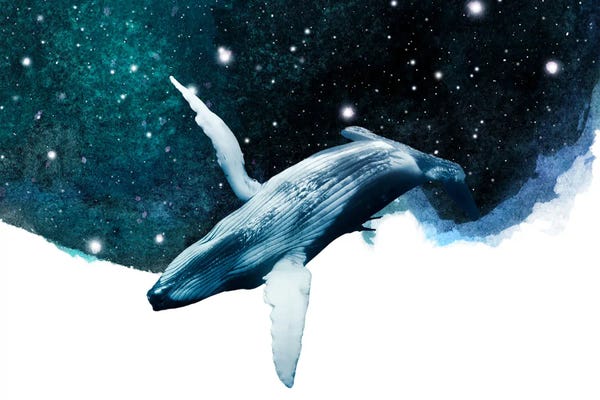 Humpback Whales: Surreal Art - Whale In The Sky by Page Turner