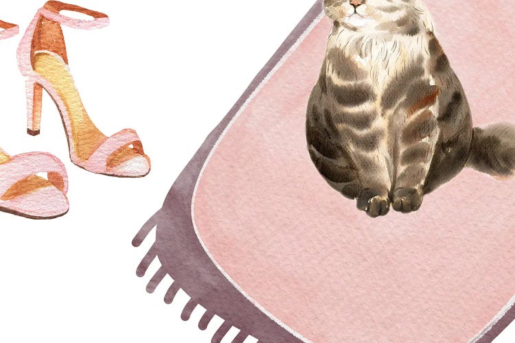 The Cat And The Shoes