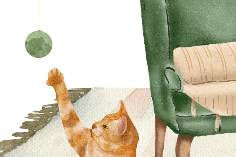 The Cat And The Toy
