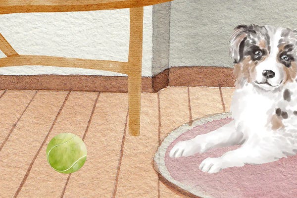 The Dog And The Tennis Ball