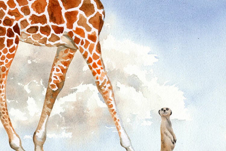 Funny Animals - Giraffe Vs Meerkat